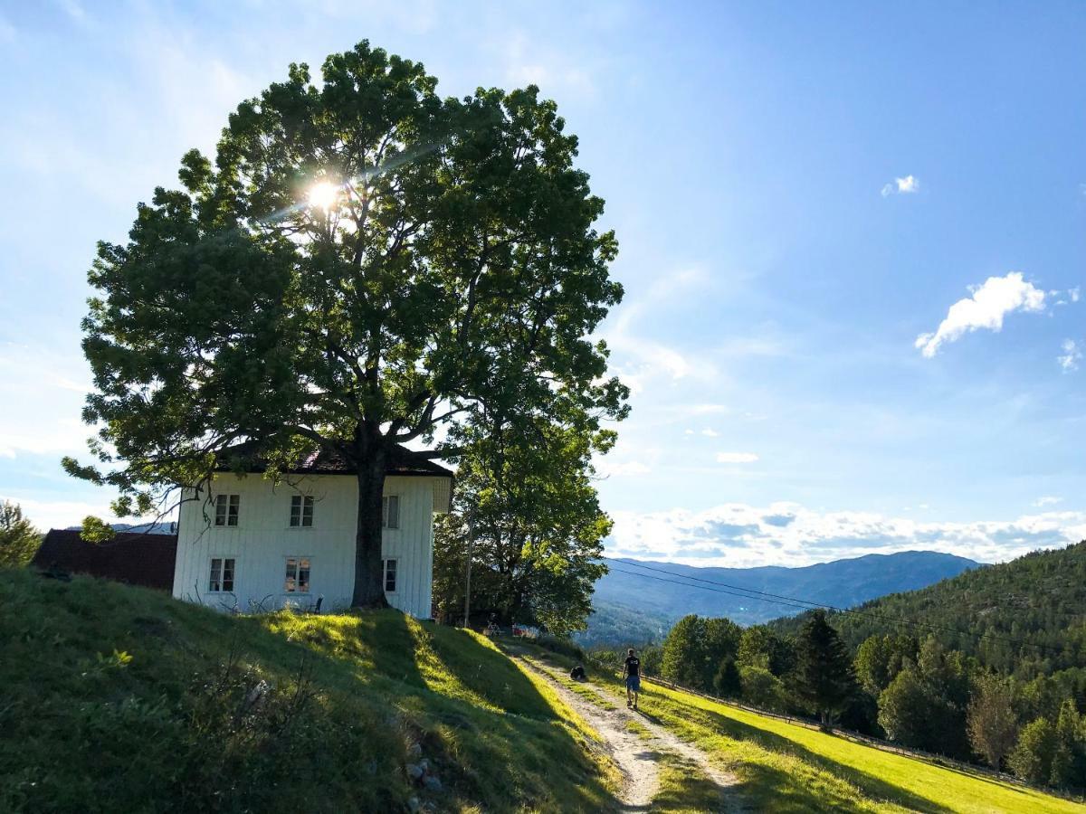 Tjonnas Farm Stay Sauland Zewnętrze zdjęcie