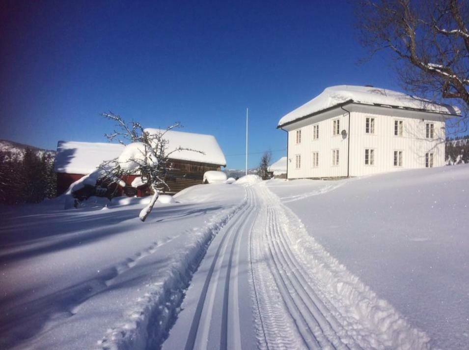 Tjonnas Farm Stay Sauland Zewnętrze zdjęcie